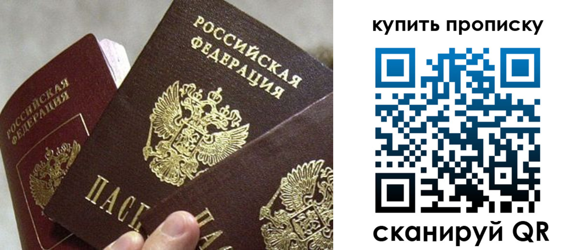 прописка для школы в Александровске-Сахалинском